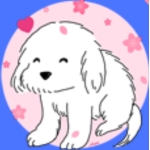 ワンくん