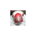 よしむらなつき@skeb