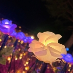 はむ