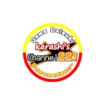 karashi221