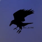 zer_crow