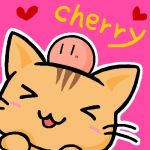 cherry@ちえり