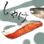 (○ゃ○)鮭