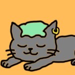ねこのす