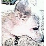 ヱヴァＬＯＶＥ