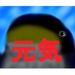 yohei_0093