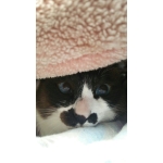 奏音－かのんー