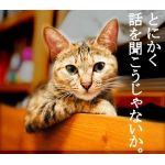 びーん