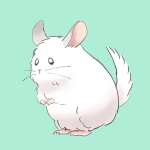 ミヤノハ
