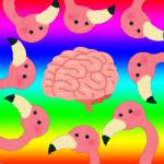 脳髄フラミンゴ