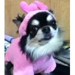 Johnny Jun(ジェイ)