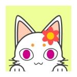 ゆめどん