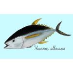 いちころ(ウィンストン)