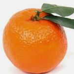 ほのかなビターレモンの香り