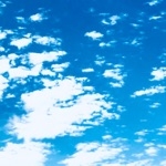 真　カーフキック