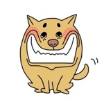 いぬ