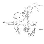 アケビ