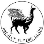 温泉芸術Flying Llama