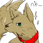 まこ