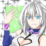 セロナ・セミナレム