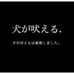 犬が吠える