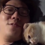 まるおともふこで近親相姦