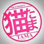 TAMA