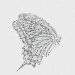 相川ではありません。