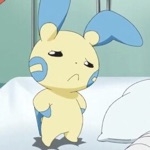 もこもこみちみち