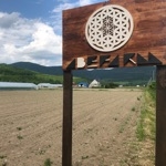 フラワーオブライフ