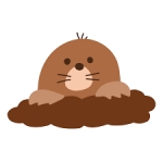 パンツマスク
