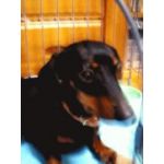 豆ライブ 豆ライブ改で配信してみよう ニコニコミュニティ