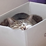 うに