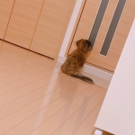いくら