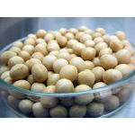 ymydl(´・ω・｀)