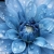 user_icon