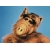 user_icon