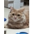 user_icon