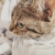 user_icon