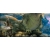 user_icon