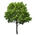 user_icon