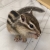 user_icon