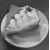 user_icon