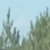 user_icon