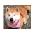 user_icon