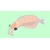 user_icon