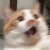 こよみ