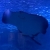 user_icon