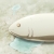 user_icon