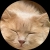 user_icon